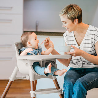 Zest LE 4-in-1 Folding High Chair